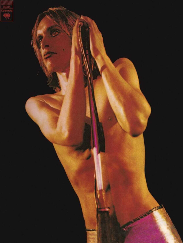 Iggy And The Stooges, The Stooges Raw Power LP/Vinyl