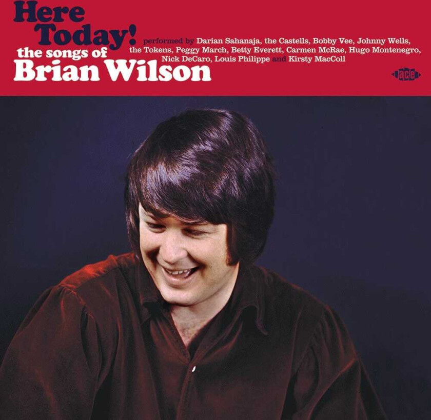 Diverse Artister, Brian Wilson Tribute Here Today! The Songs Of Brian Wilson LP/Vinyl