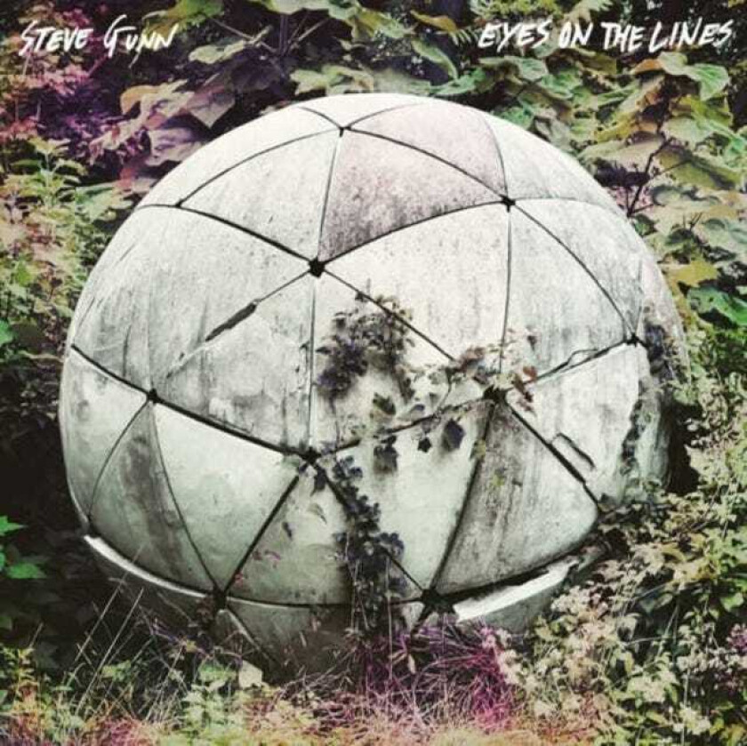 Steve Gunn : Eyes On the Lines CD (2016)