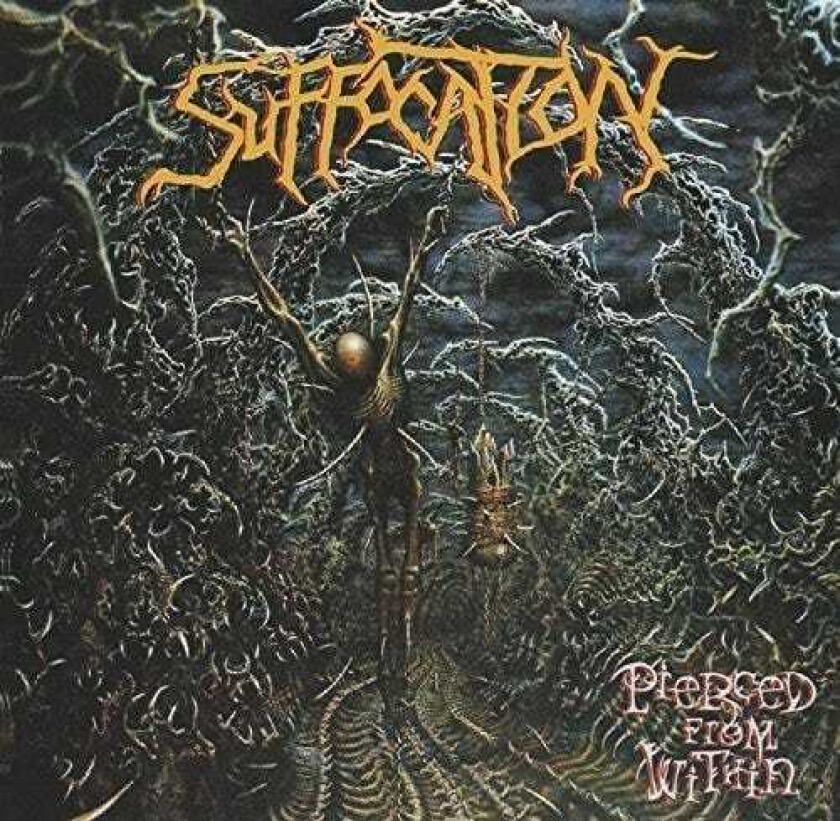 Suffocation Pierced From Within LP/Vinyl