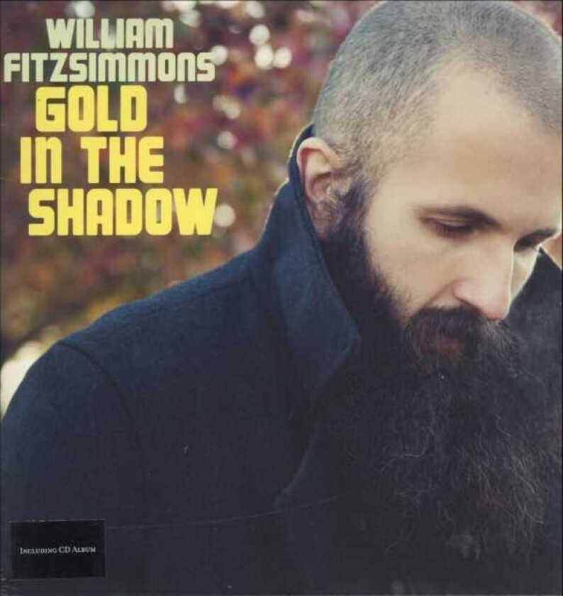 William Fitzsimmons Gold In The Shadow LP/Vinyl