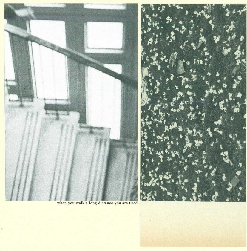 Mothers : When You Walk a Long Distance You Are Tired CD (2016)