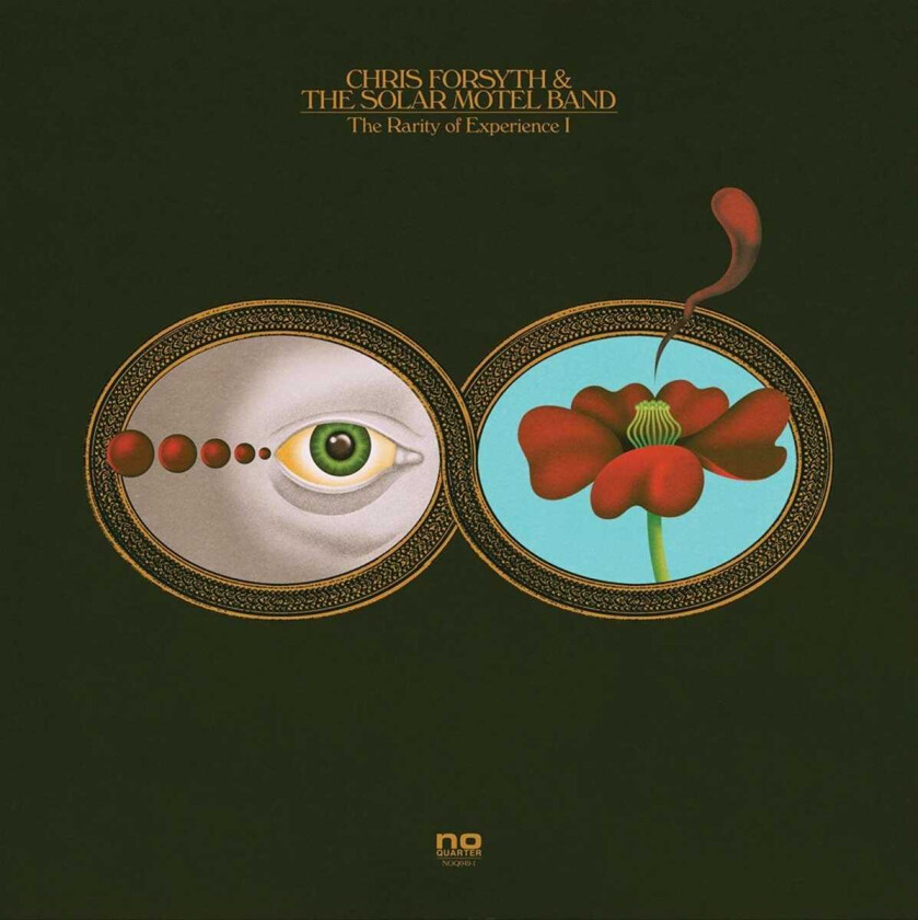 Chris Forsyth & The Solar Motel Band The Rarity Of Experience LP/Vinyl
