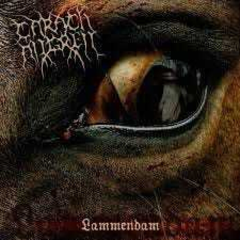Carach Angren Lammendam LP/Vinyl