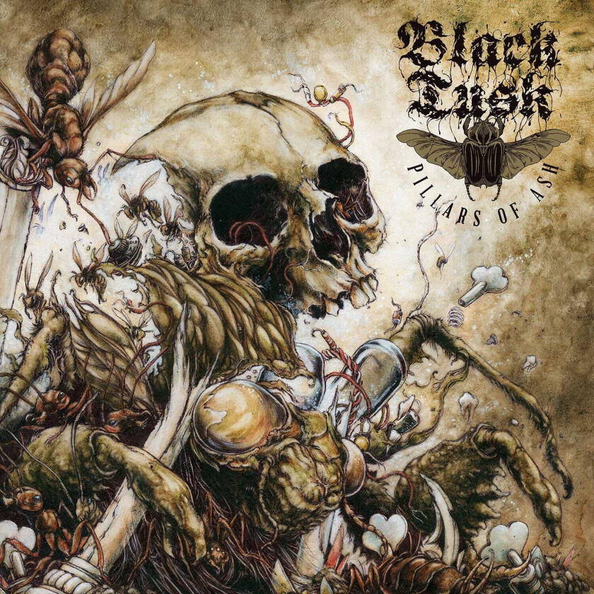 Black Tusk : Pillars of Ash CD (2016)