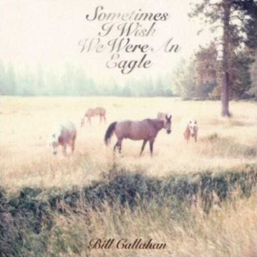 Bill Callahan Sometimes I Wish We Were An Eagle LP/Vinyl