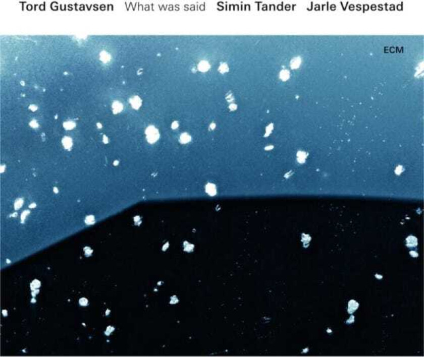 Tord Gustavsen What Was Said LP/Vinyl