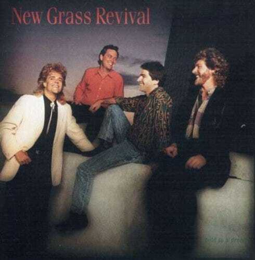New Grass Revival Hold To A Dream CD