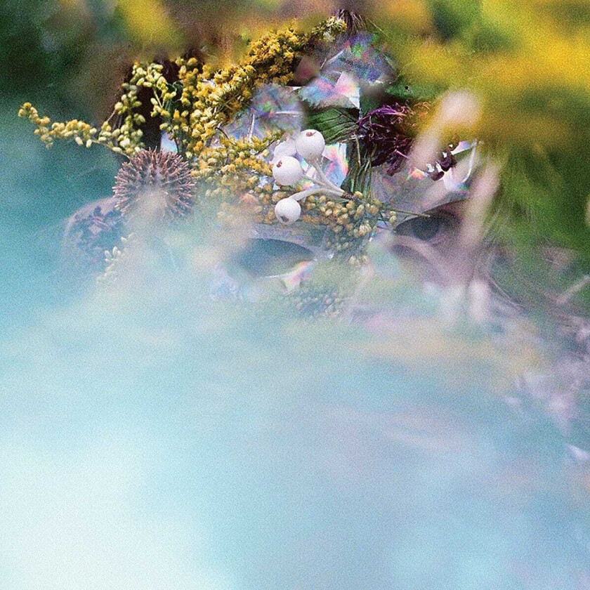 bEEdEEgEE SUM/ONE CD