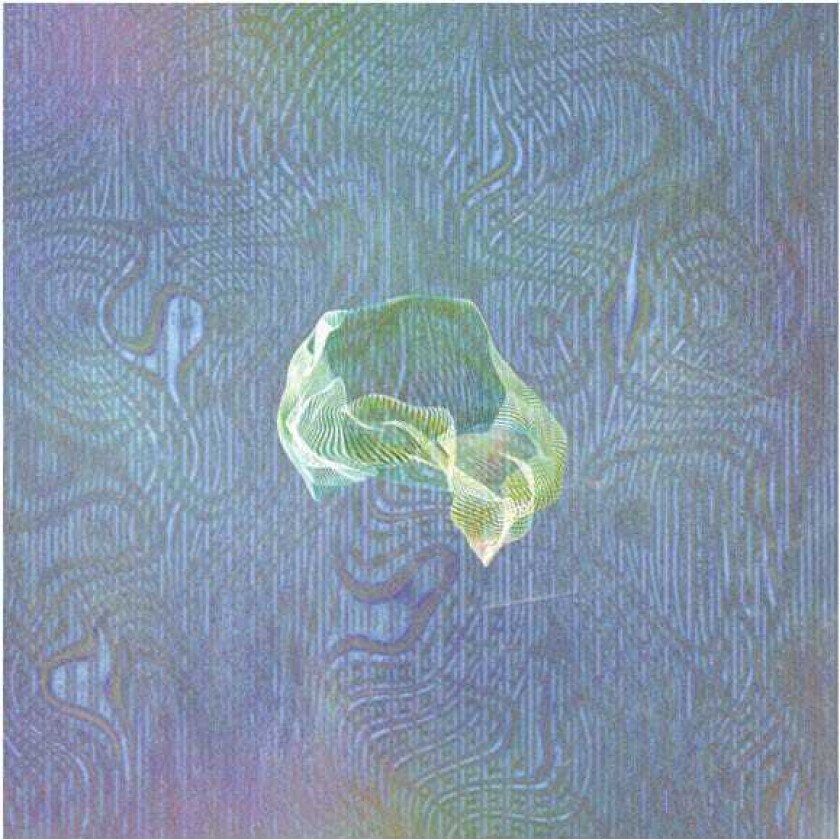 Ice Cream Cathedral Sudden Anatomy LP/Vinyl