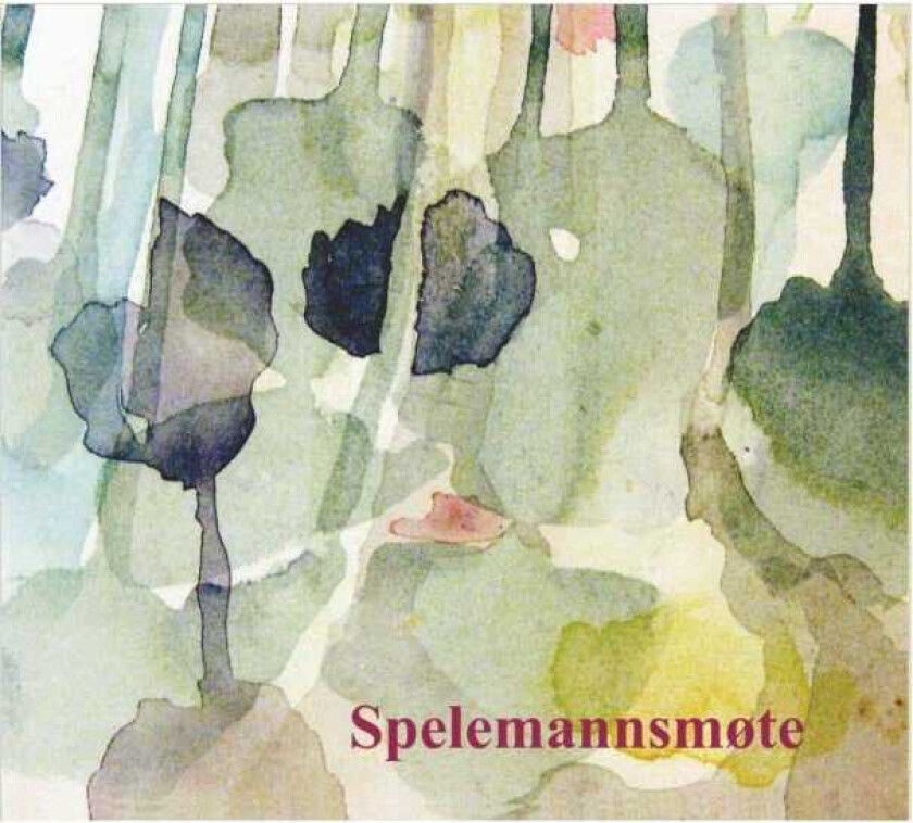 Tore Viken Spelemannsmøte CD