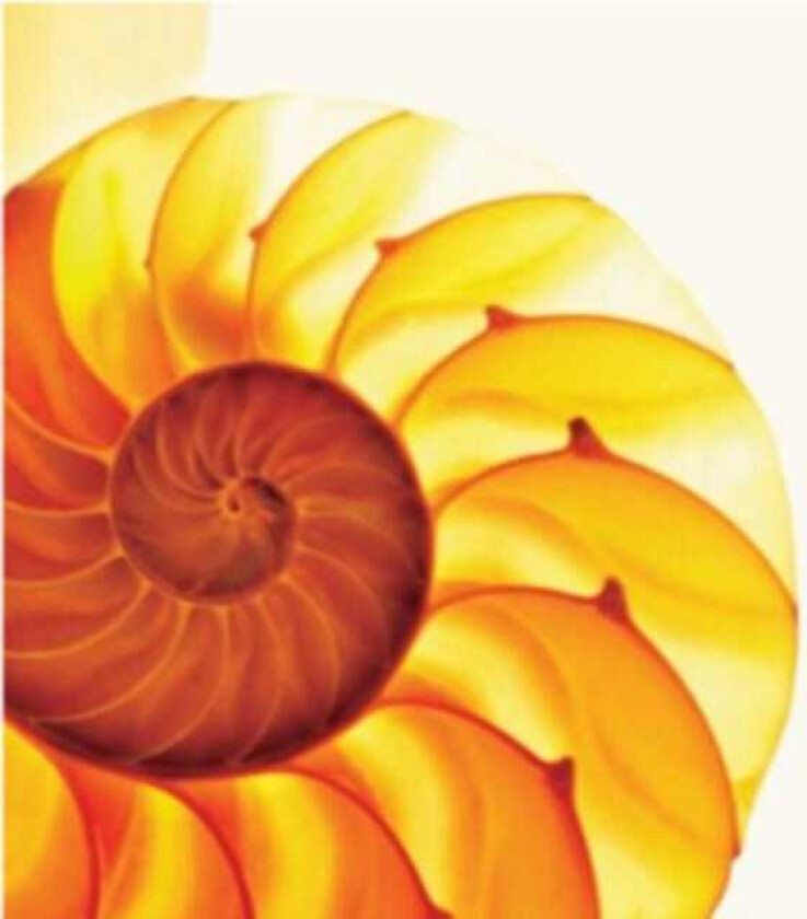 The Samuel Jackson Five Easily Misunderstood LP/Vinyl