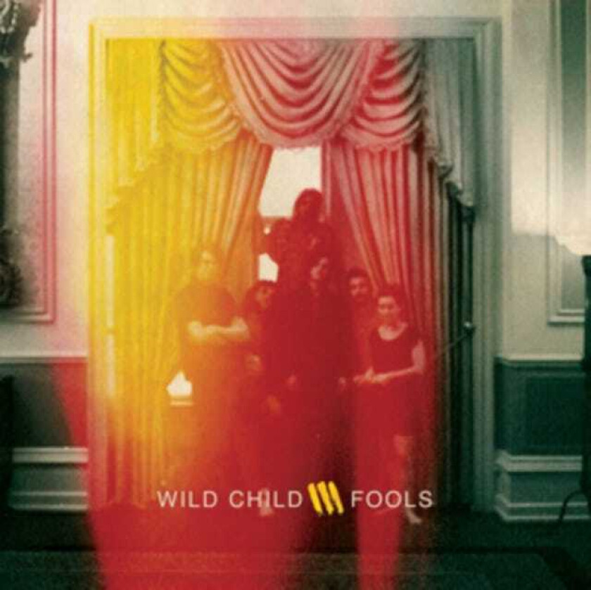 Wild Child  Fools  CD