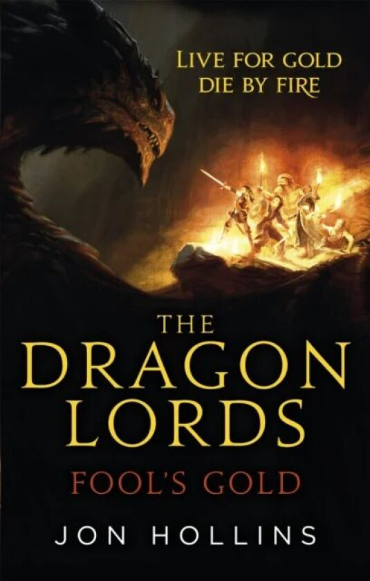 The Dragon Lords 1: Fool's Gold av Jon Hollins