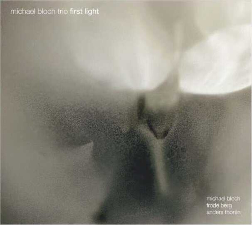 Michael Bloch Trio First Light CD
