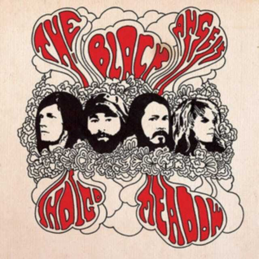 The Black Angels : Indigo Meadow CD (2013)