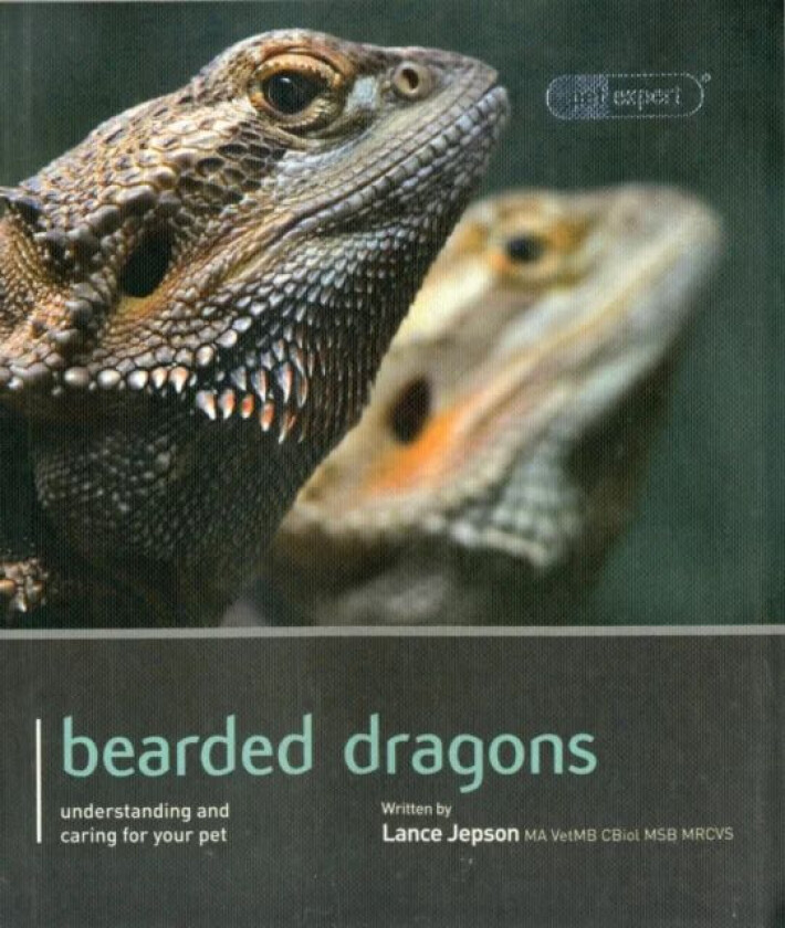 Bearded Dragon - Pet Expert av Lance Jepson