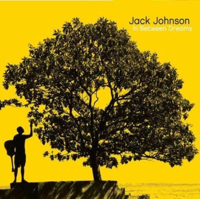 Jack Johnson In Between Dreams LP/Vinyl