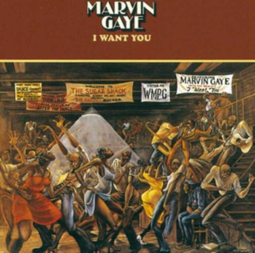 Marvin Gaye I Want You LP/Vinyl