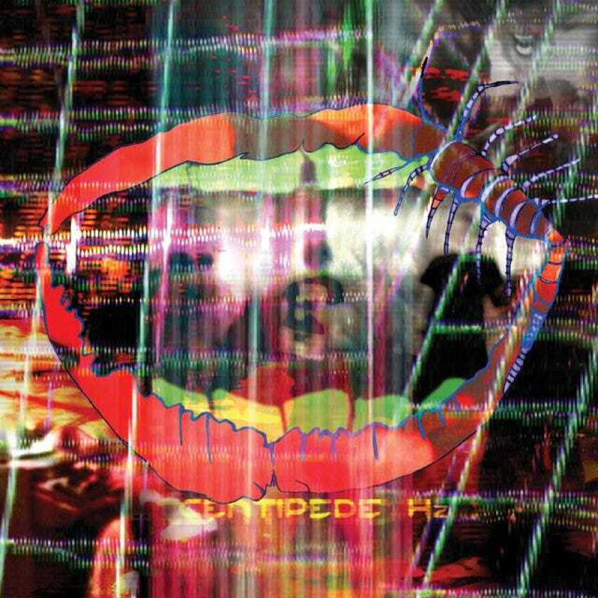 Animal Collective Centipede Hz LP/Vinyl
