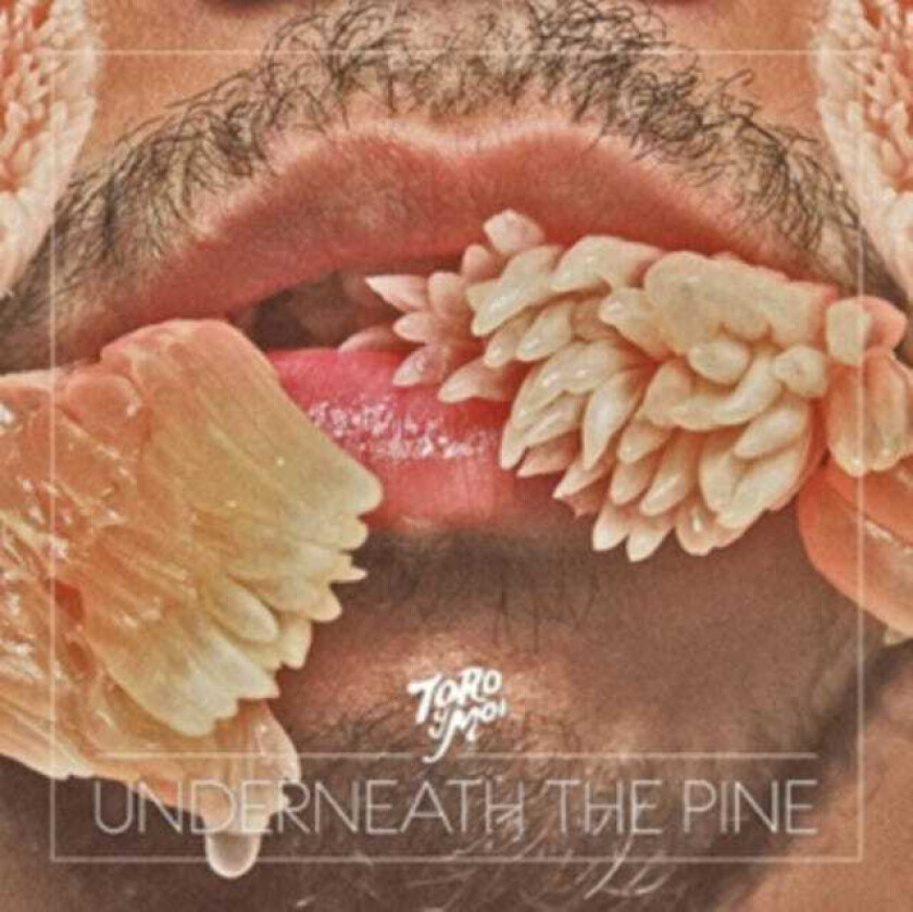 Toro Y Moi Underneath The Pine LP/Vinyl