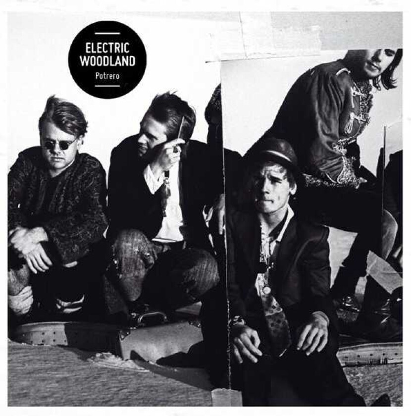 Electric Woodland Potrero LP/Vinyl
