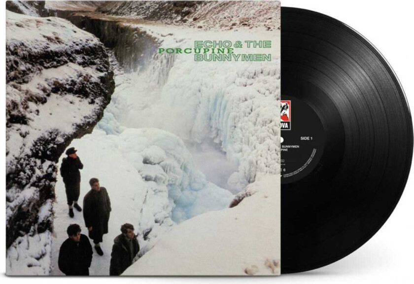 Echo & The Bunnymen Porcupine LP/Vinyl