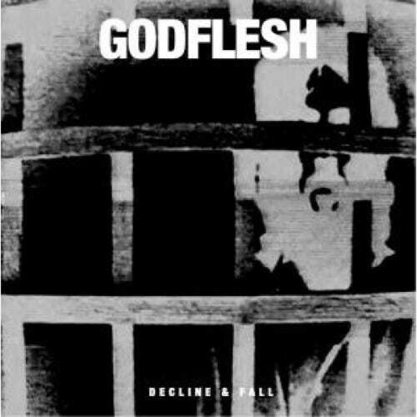Godflesh Decline & Fall LP/Vinyl