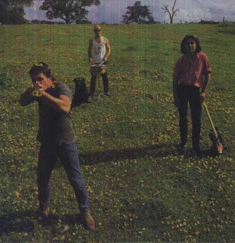 Cosmic Psychos Down On The Farm EP LP/Vinyl