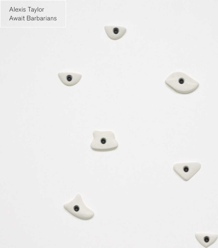 Alexis Taylor Await Barbarians LP/Vinyl