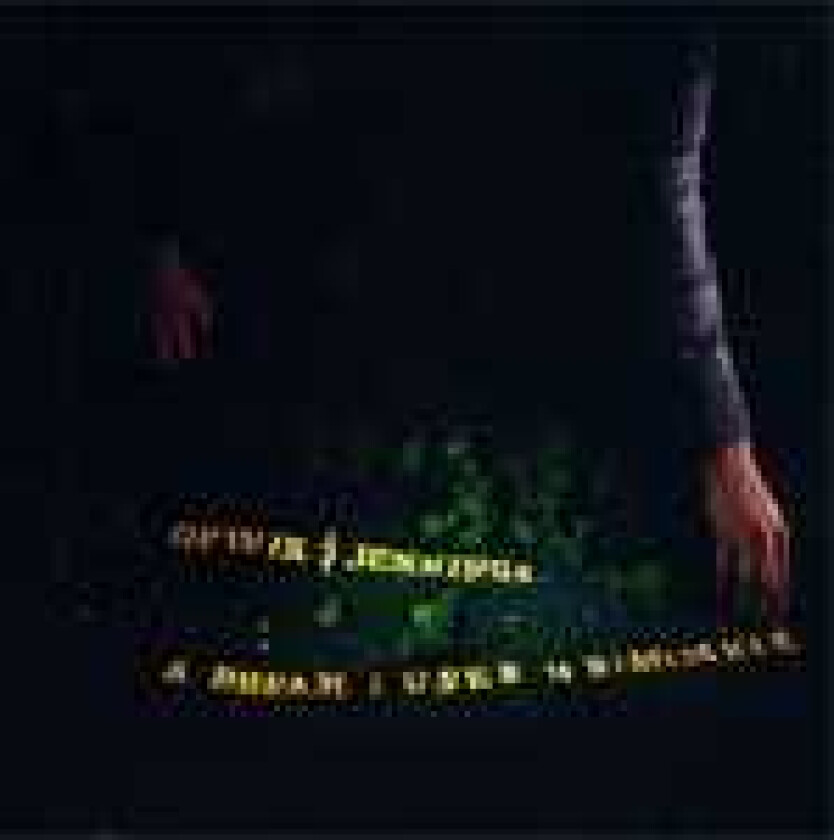 Eivind Opsvik & Aaron Jennings A Dream I Used To Remember LP/Vinyl