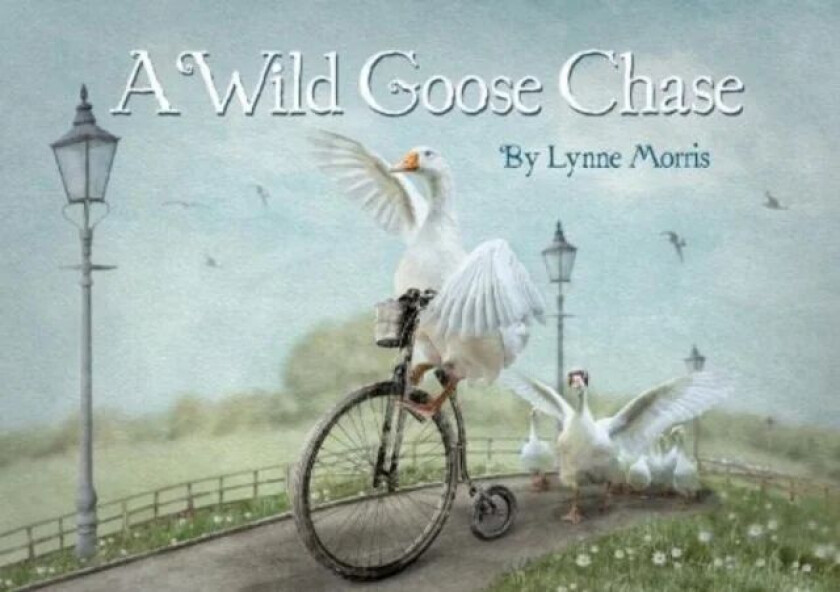 A Wild Goose Chase av Lynne Morris