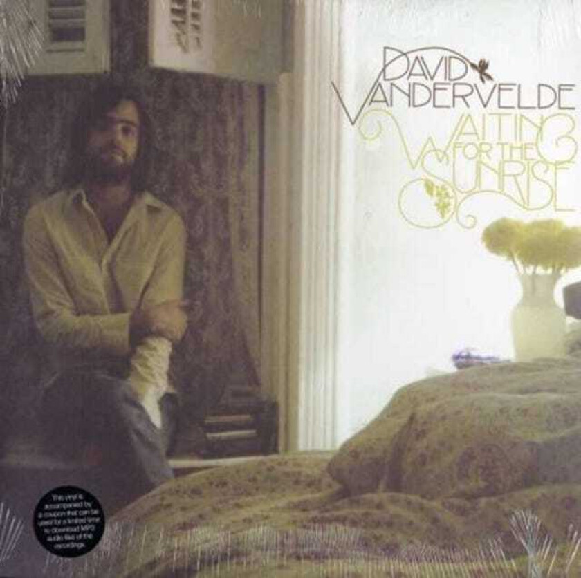 David Vandervelde Waiting For The Sunrise LP/Vinyl