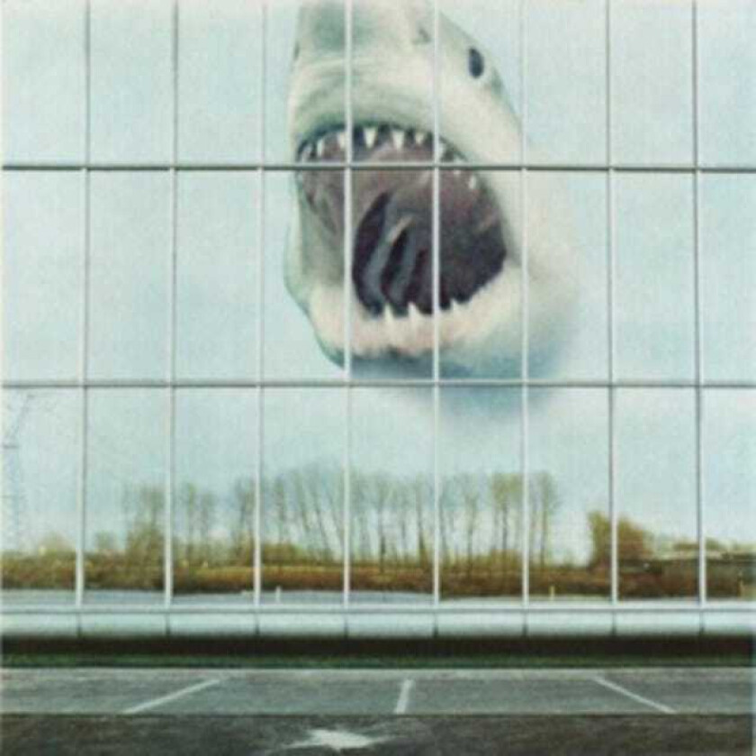 Black Mountain Wilderness Heart LP/Vinyl