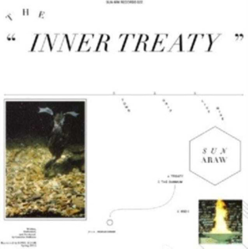 Sun Araw  The Inner Treaty  CD