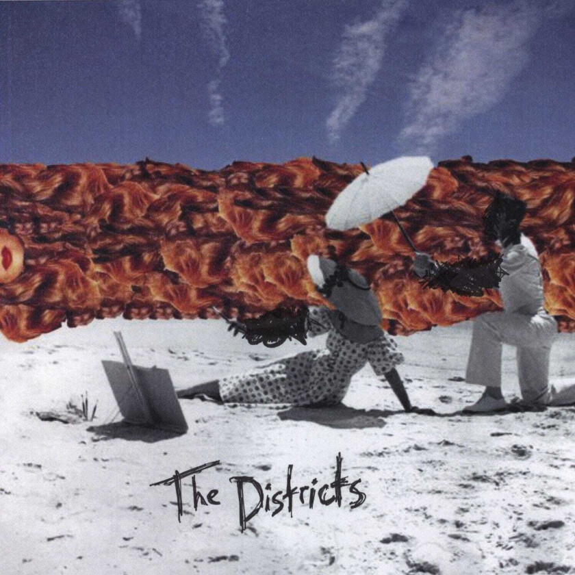 The Districts : The Districts CD (2014)