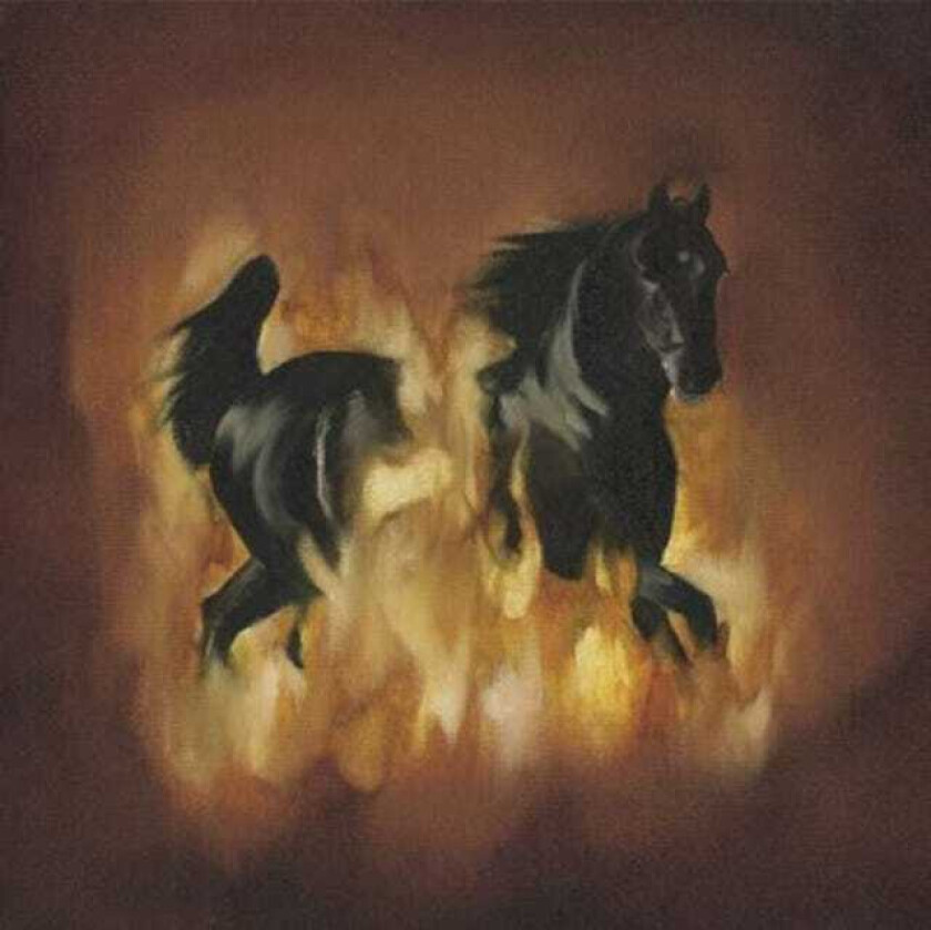The Besnard Lakes The Besnard Lakes Are A Dark Horse LP/Vinyl