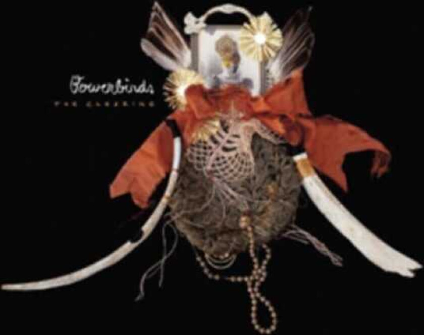 Bowerbirds The Clearing LP/Vinyl