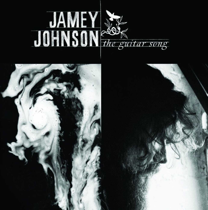 Jamey Johnson The Guitar Song LP/Vinyl