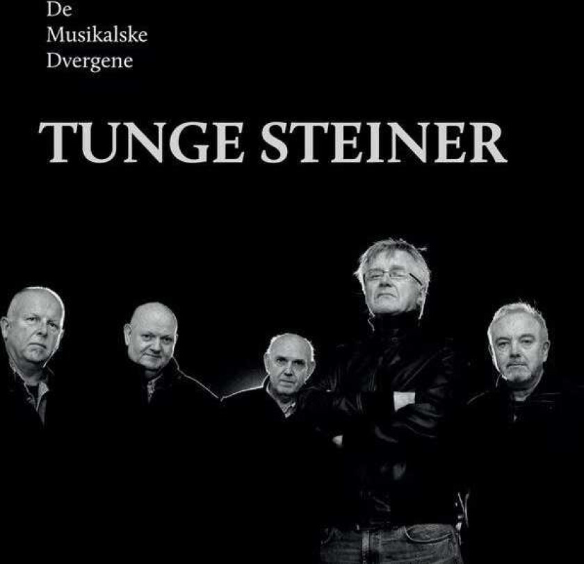 De Musikalske Dvergene  Tunge Steiner  CD