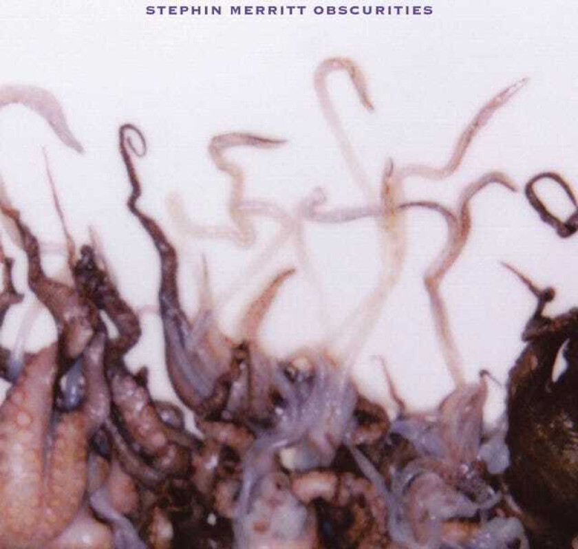 Stephin Merritt Obscurities LP/Vinyl