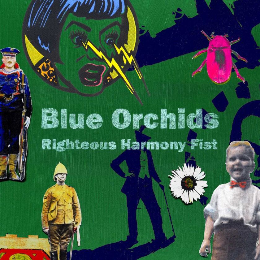 Blue Orchids  Righteous Harmony Fist  CD