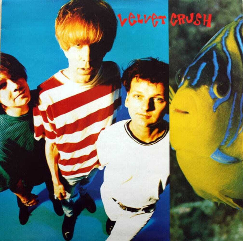 Velvet Crush In the Presence of Greatness LP/Vinyl