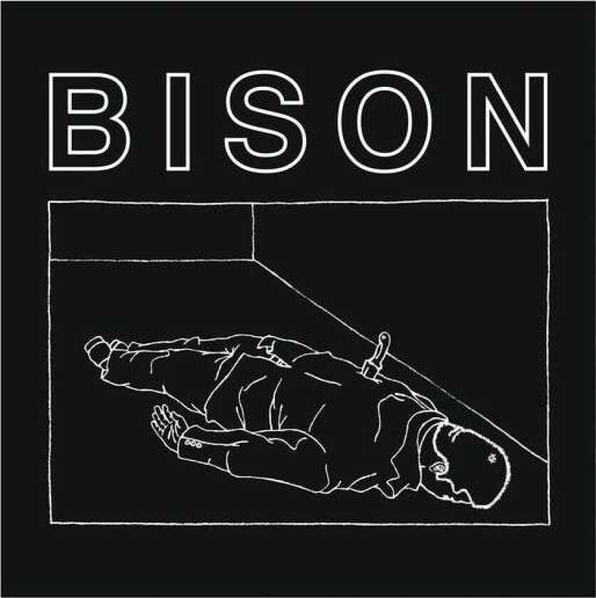 Bison One Thousand Needles CD