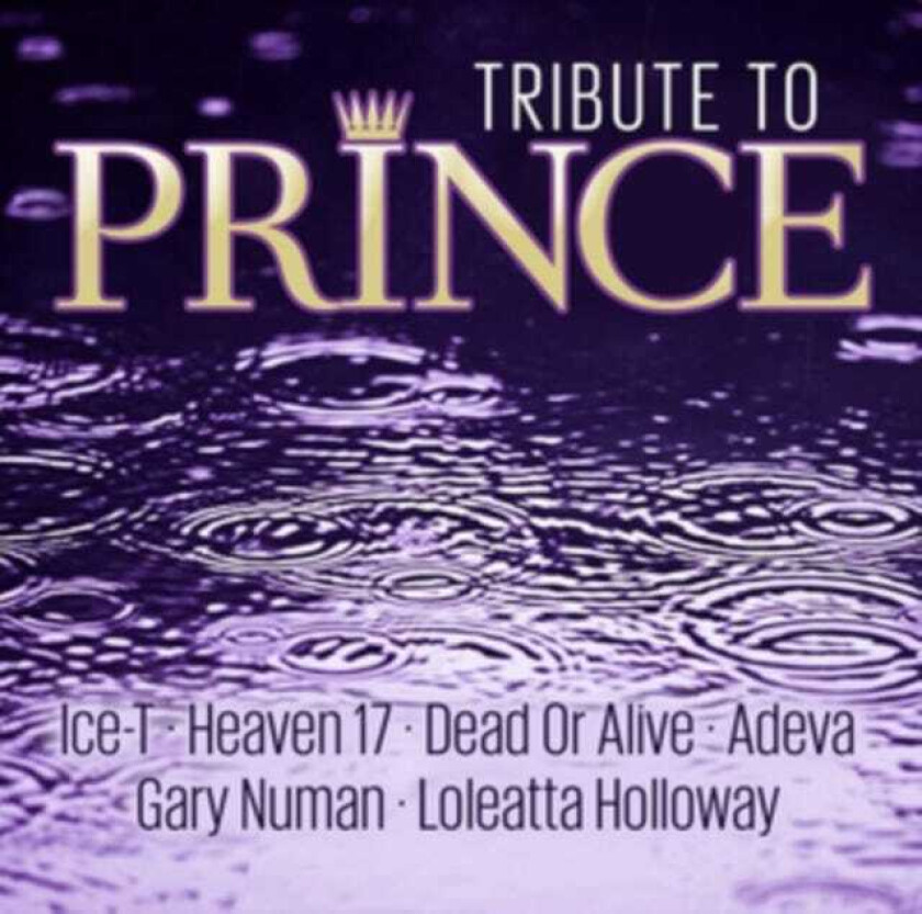 Prince Tribute  Tribute To Prince  CD