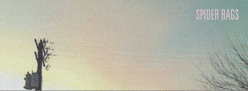 Spider Bags Someday Everything Will Be Fine LP/Vinyl