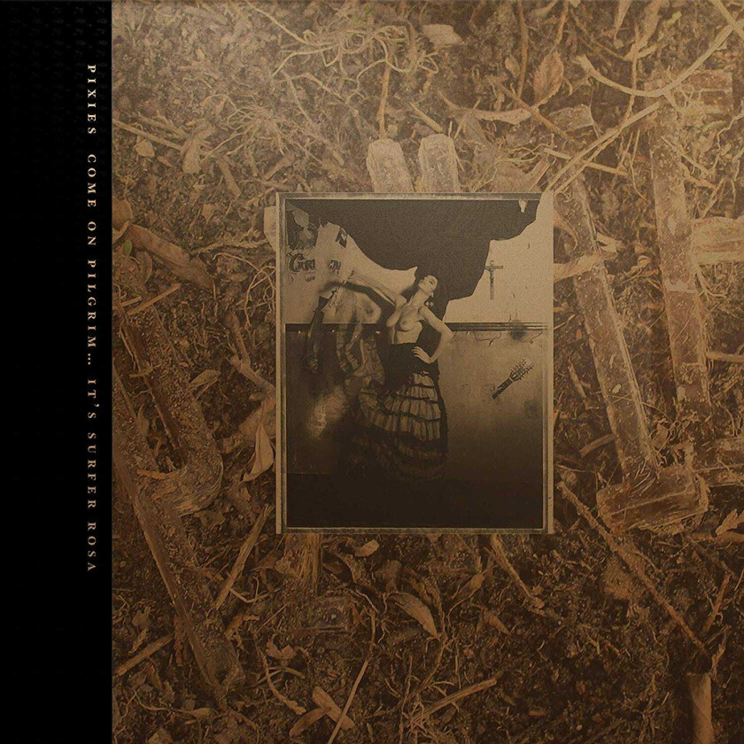 Pixies  Come On Pilgrim…It's Surfer Rosa  LP/Vinyl