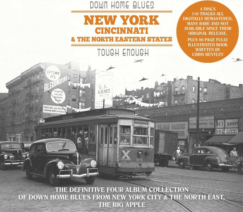 Diverse Blues  Down Home Blues: New York, Cincinatti & The North Eastern States  CD