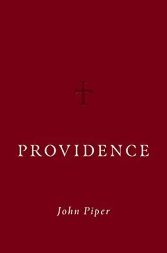 Providence av John Piper