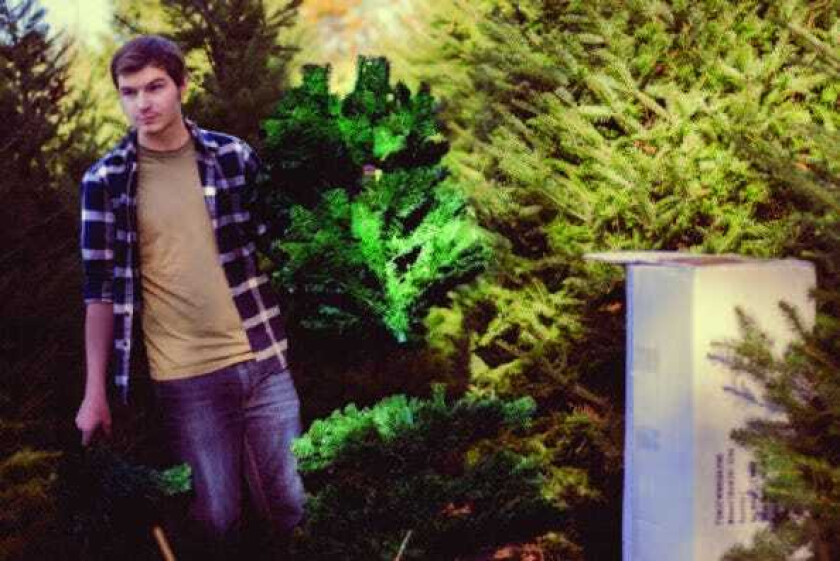 Brad Wenzel Sweet Nothings LP/Vinyl